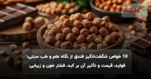 ۱۰ خواص شگفت‌انگیز فندق از نگاه علم و طب سنتی؛ فواید، قیمت و تأثیر آن بر کبد، فشار خون و زیبایی