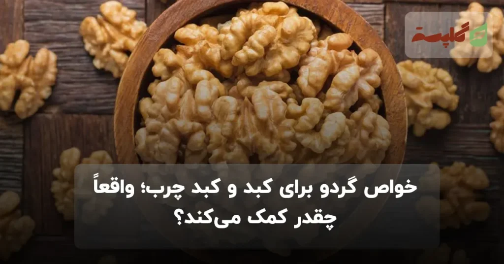 خواص گردو برای کبد و کبد چرب؛ واقعاً چقدر کمک می‌کند؟