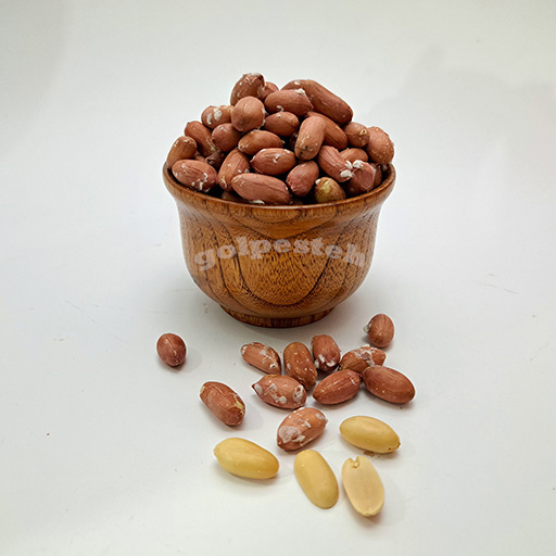 بادام زمینی آستانه - تصویر 2