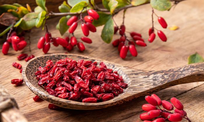 قیمت زرشک
